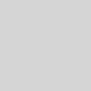 Test SonicAI